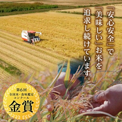 【令和8年産新米先行受付】【定期便 6カ月】ゆめぴりか 玄米 5kg 《杉本農園》