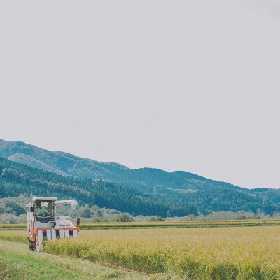 【こだわりの日本酒 】2026年 ましろ 純米吟醸<生> 720ml×2本【田中商店】