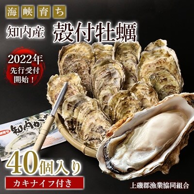 海峡育ち 知内産 殻付牡蠣 10個入り カキナイフ付き 上磯郡漁業協同組合 Dd046 お礼品詳細 ふるさと納税なら さとふる