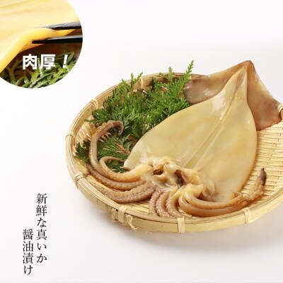 老舗の味 真いかの醤油漬け 10パック＜秋元水産＞