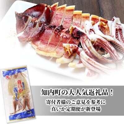 ☆毎月届く☆真いかの一夜干し定期便 全6回＜秋元水産＞【定期便・頒布会特集】
