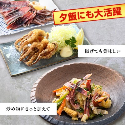 ☆毎月届く☆真いかの一夜干し定期便 全6回<秋元水産>【定期便・頒布会特集】