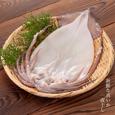 老舗の味 真いかの一夜干し 2枚入5パックセット＜秋元水産＞