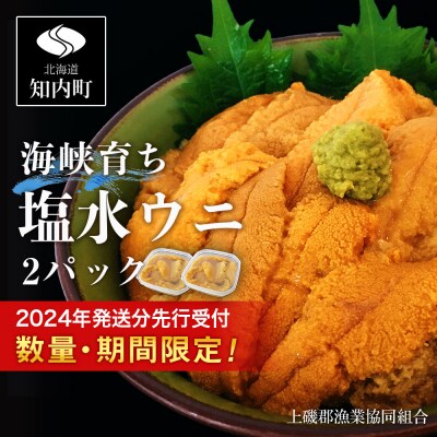2024年6月発送先行受付 キタムラサキウニ 100g×2パック 上磯郡漁業協同組合 | ふるさと納税のお礼品