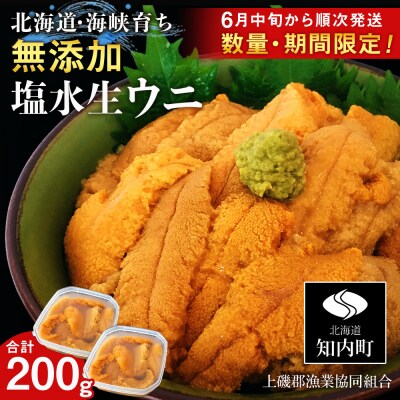 【2025年6月中旬以降発送】 キタムラサキウニ 100g×2パック 上磯郡漁業協同組合