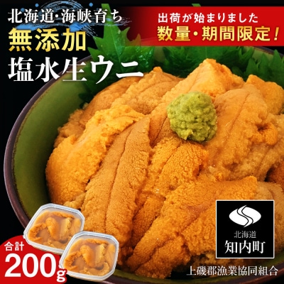 キタムラサキウニ 100g×2パック 上磯郡漁業協同組合