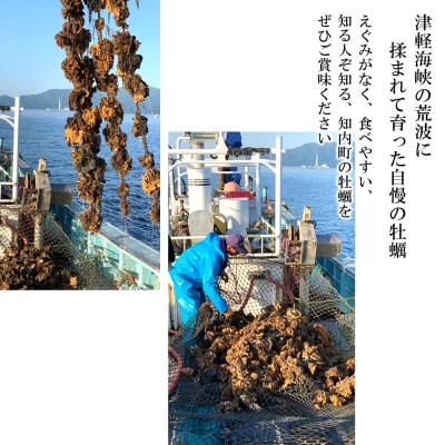 生かき むき身 350g×3本 <上磯郡漁業協同組合>