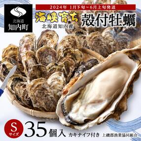 2024年発送 先行受付 牡蠣 殻付き 35個入り Sサイズ 牡蠣ナイフ付 &lt;上磯郡漁業協同組合&gt;