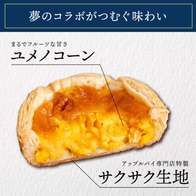 北海道知内町 橋本農園産ユメノコーンのとうきびパイ9個入