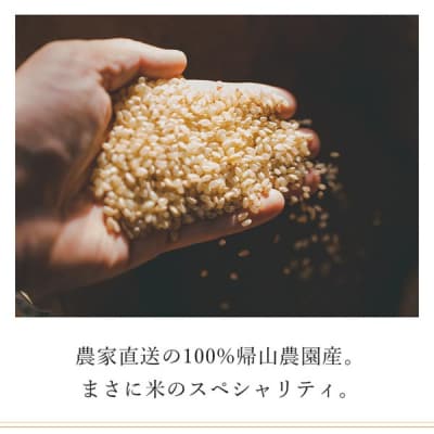 【令和8年産新米先行受付】【3カ月定期便】特別栽培米産地直送「玄米ゆめぴりか 5kg」《帰山農園》
