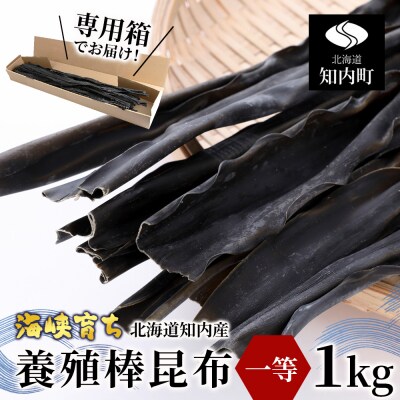 乾燥昆布 1kg 前浜産 1等級 知内 だし 北海道