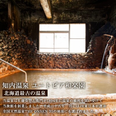 知内温泉の素「女将の湯」8袋《知内温泉 ユートピア和楽園》 入浴剤 温泉 セット 個包装 ギフト