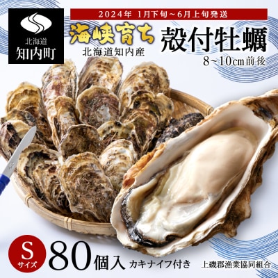 【3月中旬以降発送】海峡育ち 殻付き牡蠣 Sサイズ 80個入り カキナイフ付＜上磯郡漁業協同組合＞
