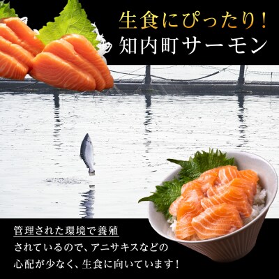 【2025年7月末以降出荷】知内サーモンハーフロイン 2kg <上磯郡漁業協同組合> 先行受付