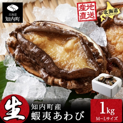 北海道 知内産 天然かつあわび約1kg(M～L詰め合わせ)≪上磯漁業協同組合≫