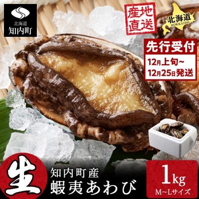 〈2026年12月発送先行受付〉北海道 知内産 天然かつあわび約1kg(M～L詰め合わせ)