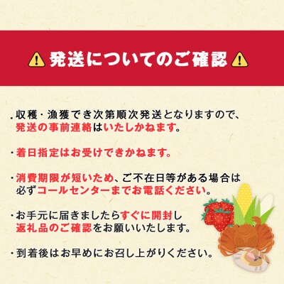 〈2026年12月発送先行受付〉北海道 知内産 天然かつあわび約1kg(M～L詰め合わせ)