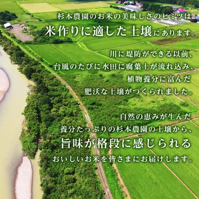 【令和7年産新米先行受付】【定期便12回】ふっくりんこ 4kg 2kg×2《杉本農園》