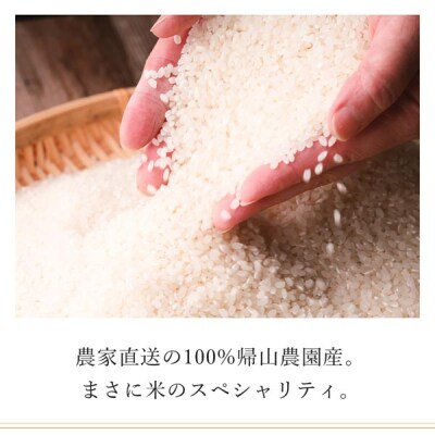 【令和8年産新米先行受付】【6カ月定期便】特別栽培米産地直送「ゆめぴりか 2kg」《帰山農園》