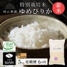 【令和7年産新米予約】【6カ月定期便】特別栽培米産地直送「ゆめぴりか 5kg」《帰山農園》