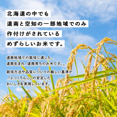 新米予約 【定期便3回】 ふっくりんこ 5kg 【JA新はこだて】