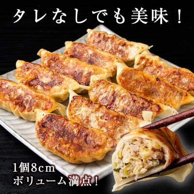 知内ニラ餃子(10個入り)2袋【知内観光協会】