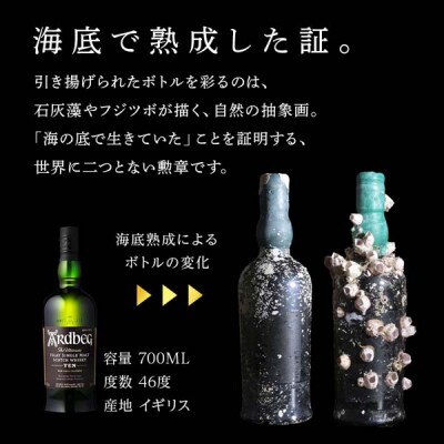 「2026.12月発送予約」知内【海底熟成ウイスキーG】