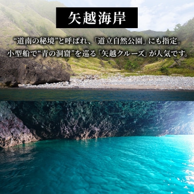 北海道 知内町☆応援寄付金☆【返礼品なし】10,000