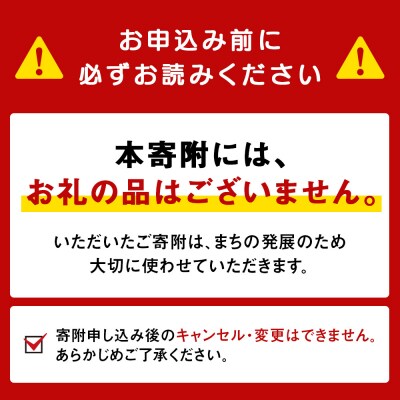 北海道 知内町☆応援寄付金☆【返礼品なし】50,000