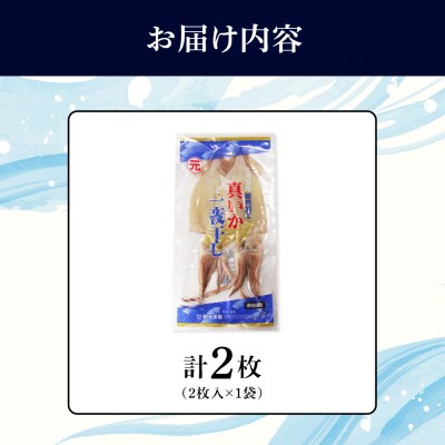 老舗の味 真いかの一夜干し 2枚入×1パックセット＜秋元水産＞