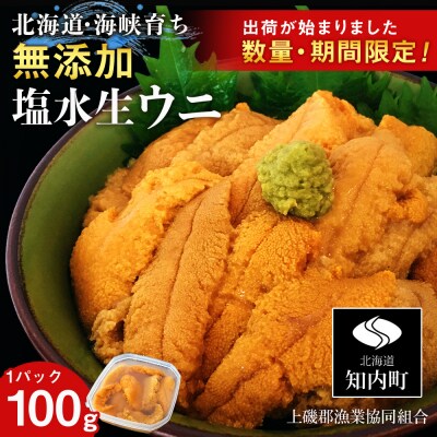 キタムラサキウニ 100g×1パック 上磯郡漁業協同組合