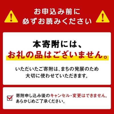 〈返礼品なし〉ふるさと納税ゴミ減量化プロジェクト寄附