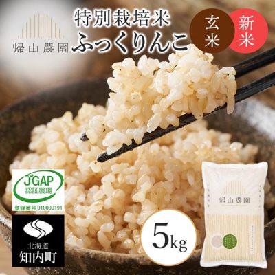 【令和8年産新米先行受付】 玄米 ふっくりんこ 5kg 特別栽培米産地直送 帰山農園