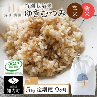 【令和8年産新米先行受付】【定期便9カ月】玄米 ゆきむつみ5kg 特別栽培米産地直送 帰山農園