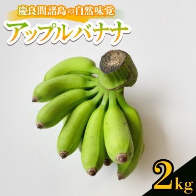【2025年7月から順次発送】慶良間諸島の自然味覚 アップルバナナ 2kg