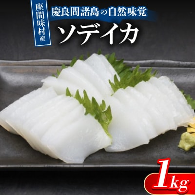 慶良間諸島の自然味覚 座間味村産のソデイカ 1kg(2～3柵)