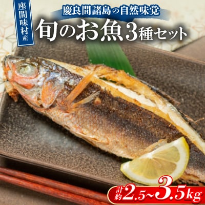 慶良間諸島の自然味覚 旬のお魚3種セット