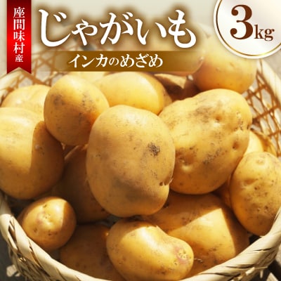 【2026年3月から順次発送】じゃがいも(インカのめざめ)3kg