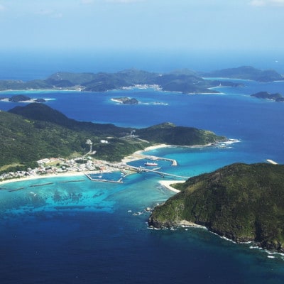 座間味村 ガイドツアー山歩人(大人1名様・2時間コース)