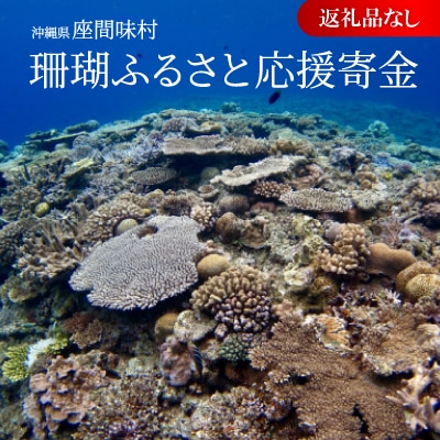 【返礼品なし】沖縄県座間味村 珊瑚ふるさと応援寄金 10,000円