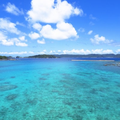 【返礼品なし】沖縄県座間味村 珊瑚ふるさと応援寄金 10,000円