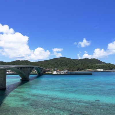 【返礼品なし】沖縄県座間味村 珊瑚ふるさと応援寄金 10,000円