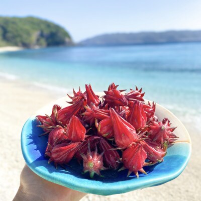 座間味村産ハイビスカス ブレンドティー 2袋(1袋:2g×5包)