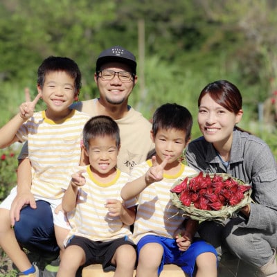 座間味村産ハイビスカス ブレンドティー 2袋(1袋:2g×5包)