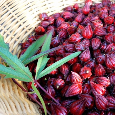 座間味村産ハイビスカスジャム 100g×3個セット