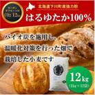 北海道下川町産はるゆたか100%(強力粉) バイオ炭施用 カーボン・オフセット付 12kg