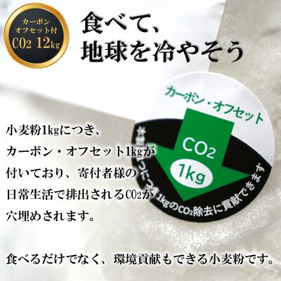 北海道下川町産きたほなみ100%(薄力粉) バイオ炭施用 カーボン・オフセット付 12kg