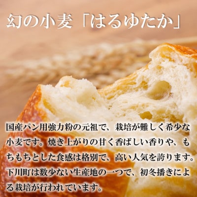 北海道下川町産強力粉はるゆたか・薄力粉きたほなみ各1kg(計2kg)バイオ炭施用 カーボンオフセット
