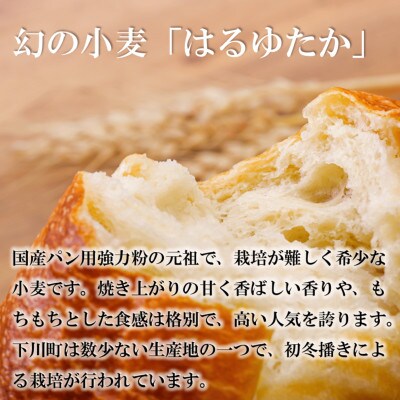 北海道下川町産強力粉はるゆたか100% 25kg バイオ炭施用 カーボン・オフセット付 業務用紙袋