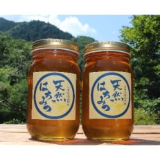 道志村産　天然はちみつ(300g×2本)